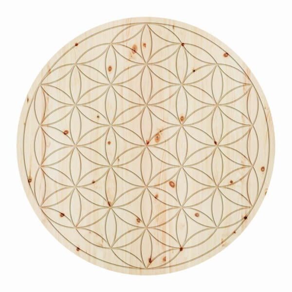 ZirbenBlume des Lebens