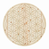 ZirbenBlume des Lebens