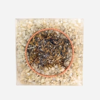 Orgonit Pyramide – Optimismus | Lebensfreude |...