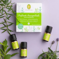 Duftende Hausapotheke 3er Set Pfefferminz, Lavendel, Teebaum