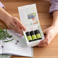 Duftende Hausapotheke 3er Set Pfefferminz, Lavendel, Teebaum